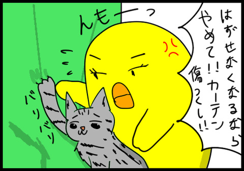 カーテン3