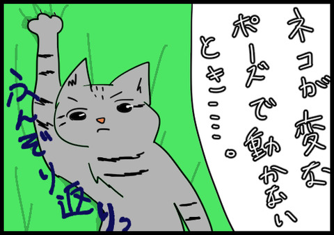 カーテン