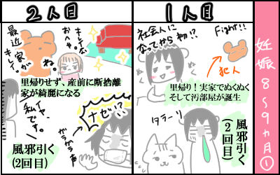 妊娠記録比較3
