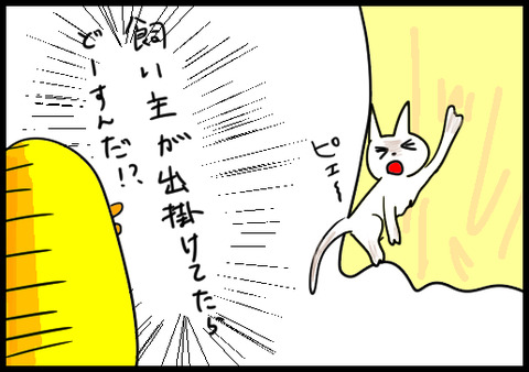 カーテン4