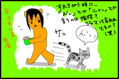 猫のいる生活1