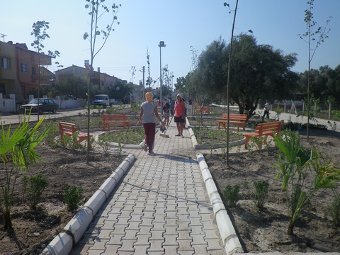 IMGP0153