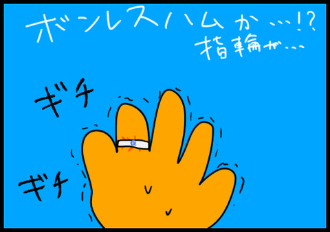 ボンレスハム1