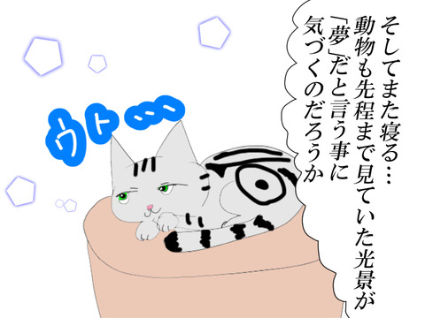 猫の夢3