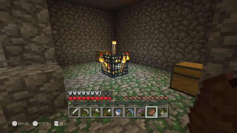 初心者 だんちゃんの気ままにありのまマイクラwiiu