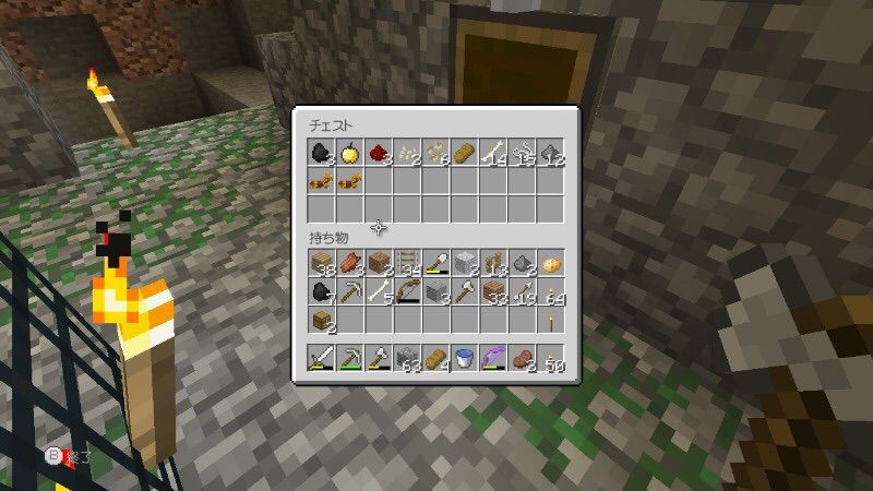 廃坑へ行こう ６ だんちゃんの気ままにありのまマイクラwiiu