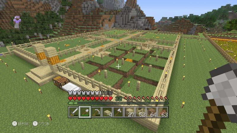 植林場を作る 2 だんちゃんの気ままにありのまマイクラwiiu 植林場を作る 2 だんちゃんの気ままにありのまマイクラwiiu