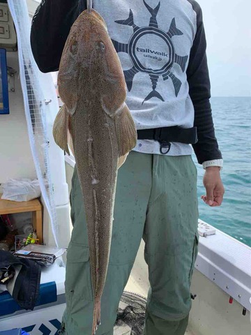 FullSizeRender