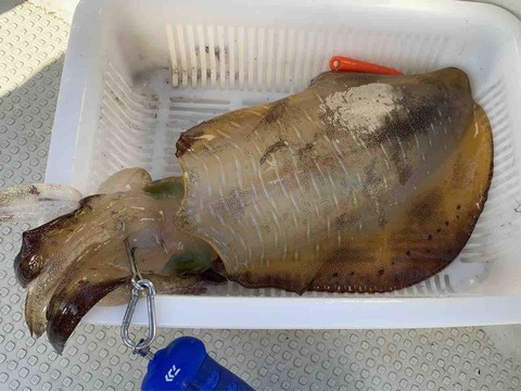 FullSizeRender