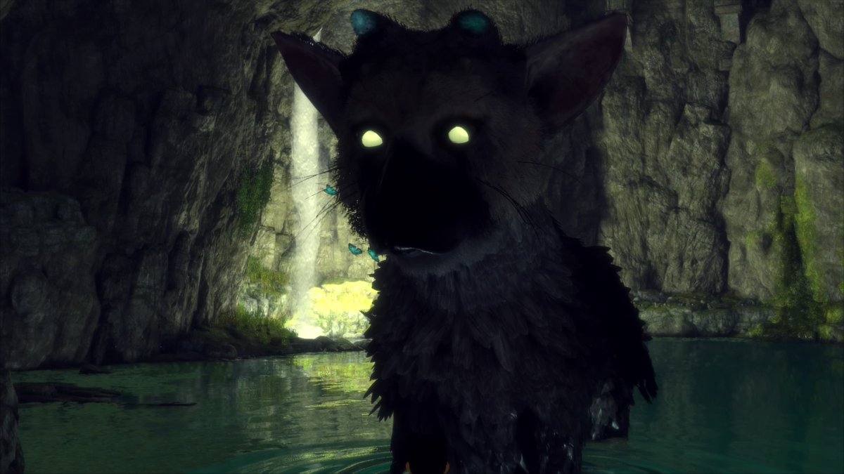 ゲームレビュー 巨獣との絆を描いた 人食いの大鷲トリコ をクリアしたよ D C Report