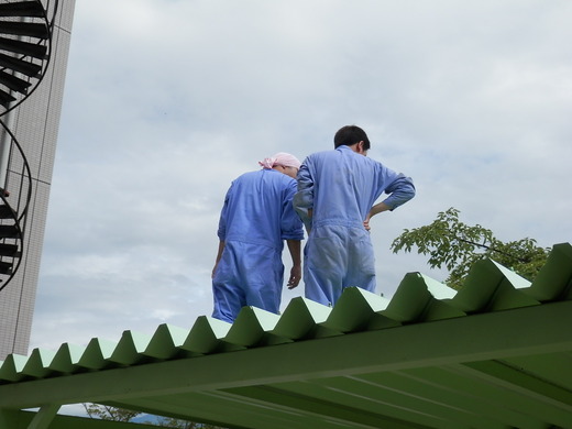 27ǯ�ٽ뵤ʧ�� (1)