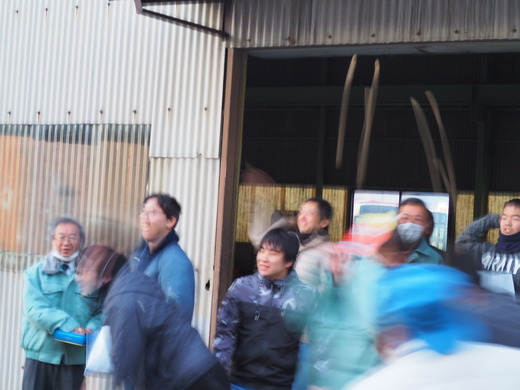 豆12
