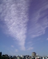 �Ͽ̱�-Jan22-2005 03