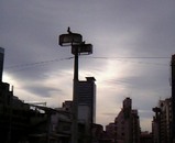 �Ͽ̱�-Jan03-2005 07