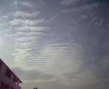 �Ͽ̱�-Jan27-2005 05