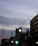 �Ͽ̱�-Jan27-2005 09