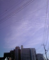 �Ͽ̱�-Feb12-2005 01