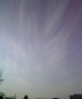 Dec31-06 7