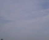 Nov01-06 3