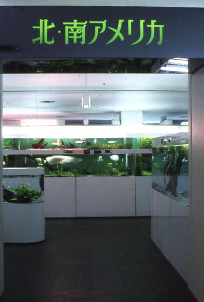 東京タワー水族館 今月限りで閉館へ 開業から40年 賃料未払いで訴訟沙汰に 弾丸フライヤー