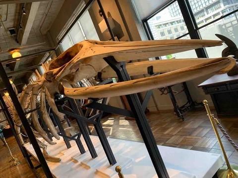 【丸の内KITTE】博物館「インターメディアテク」が全館ぼぼ撮影可能になりました！