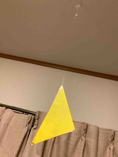 【メイキング】虹夏ちゃんのアホ毛作成日記