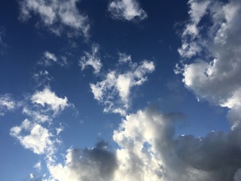 IMG_8889