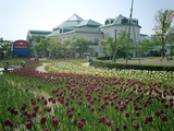CIMG0022