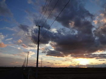 DSC01016