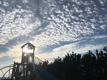 IMG_0312