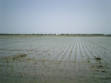 CIMG0005