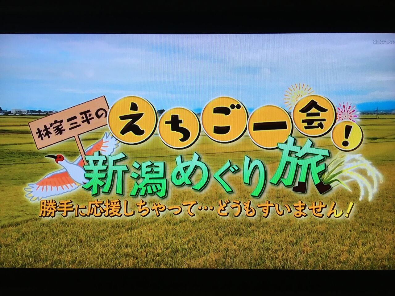 Bsテレビ東京のオンエアご報告 越後新潟 笹だんご屋店主の日記