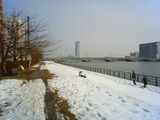 NEC_0091