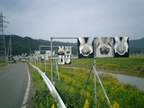 CIMG0052