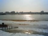 NEC_0085