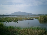 CIMG0019