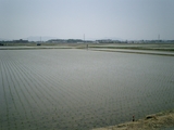 CIMG0001