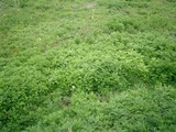CIMG0088