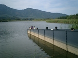 CIMG0035
