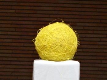 DSC01021