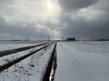 IMG_0950