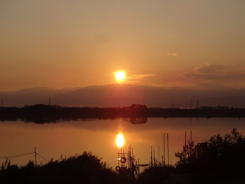 DSC02371