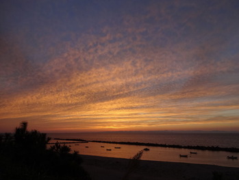 DSC05625