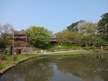 DSC00609