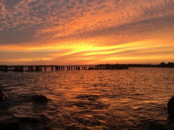 IMG_8897