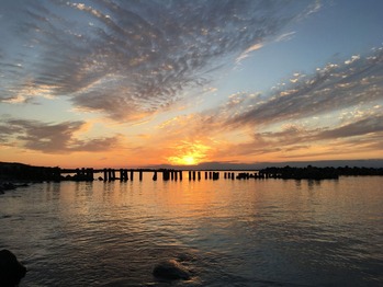 IMG_8987