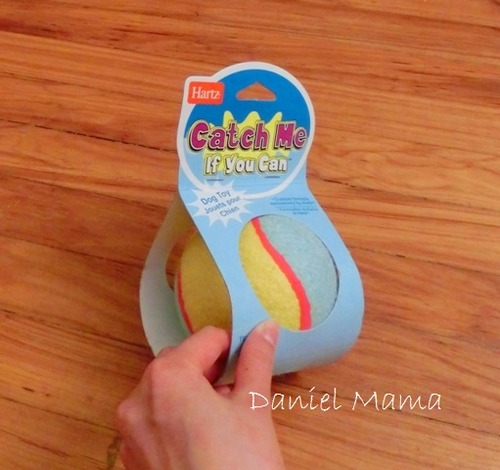 CIMG1371