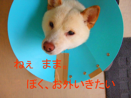 BlogPaint