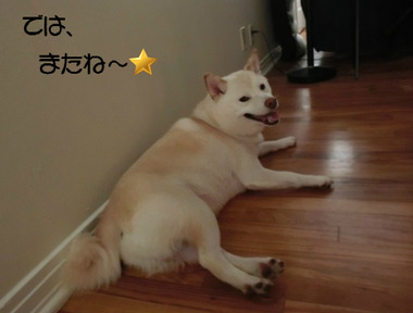 BlogPaint