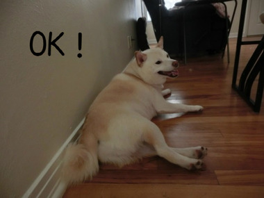 BlogPaint